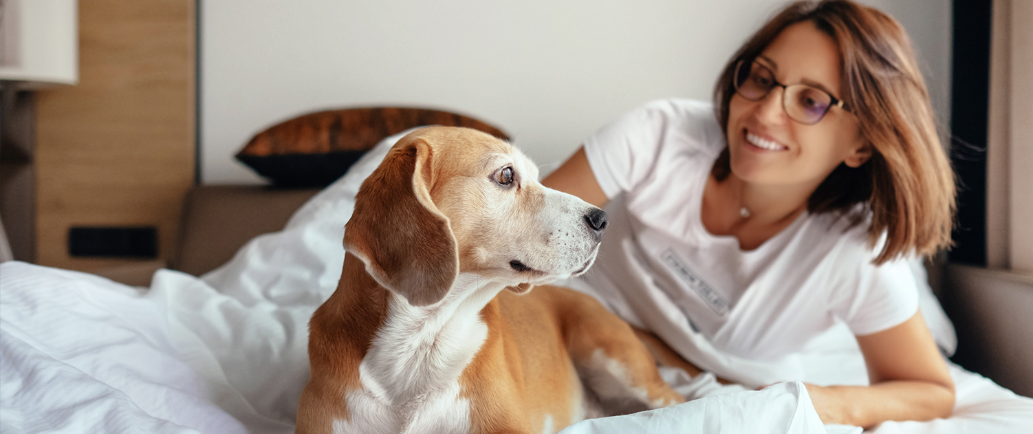 PET-FRIENDLY ROOMS AT ALL OF OUR LOCATIONS
